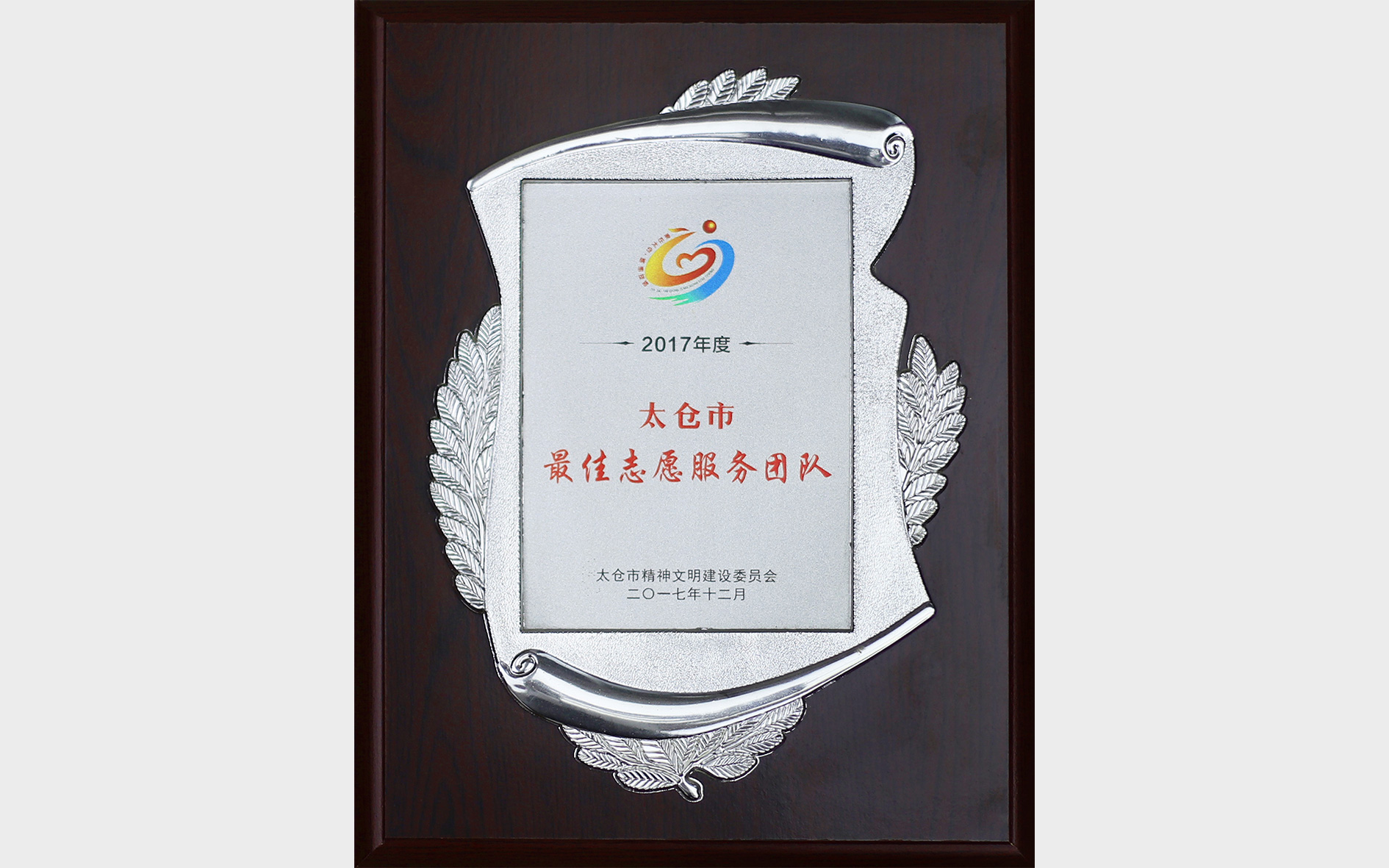最佳志愿者服务团队